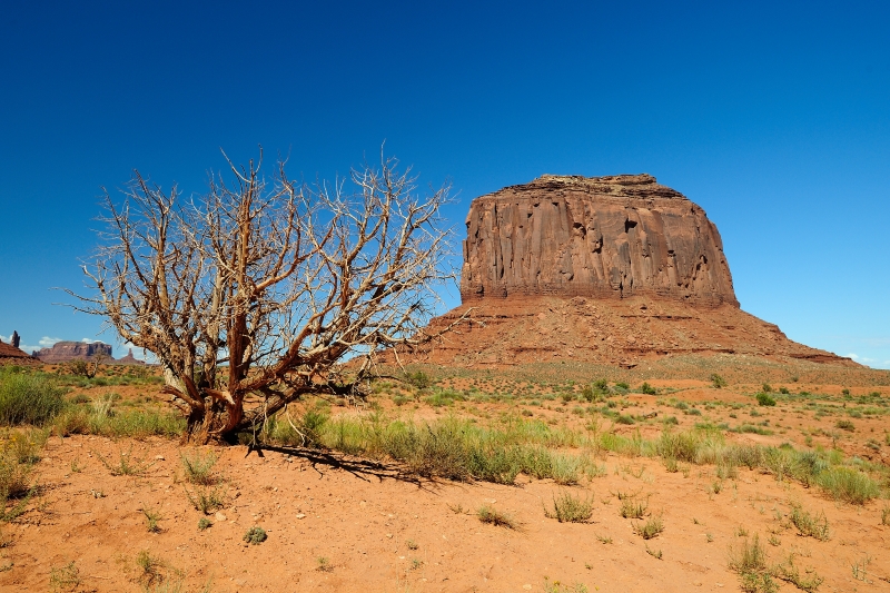 Monument Valley-Viaggi-10.JPG